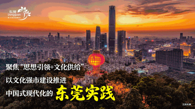 ɽII(y)(zh)մkɽ~˾